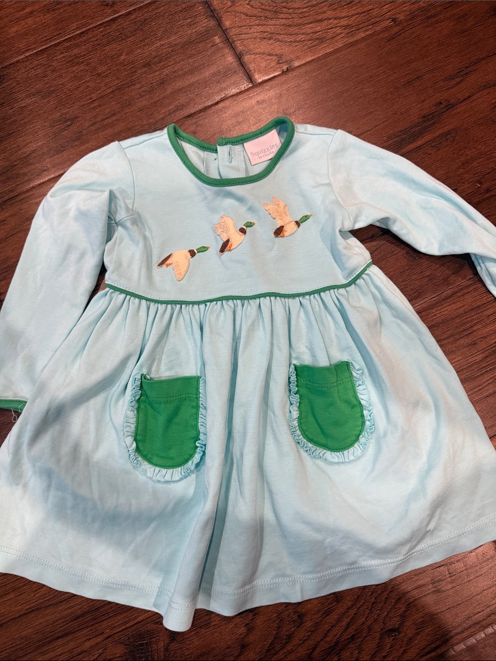 Light Blue Girls Dress with Green Trim and Duck Appliqué